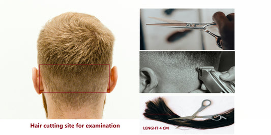 Hair_sample_collection_for_mineral_analysis_cutting_site_and_instructions