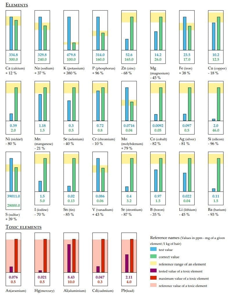 Example_Hair_Mineral_Analysis_Results
